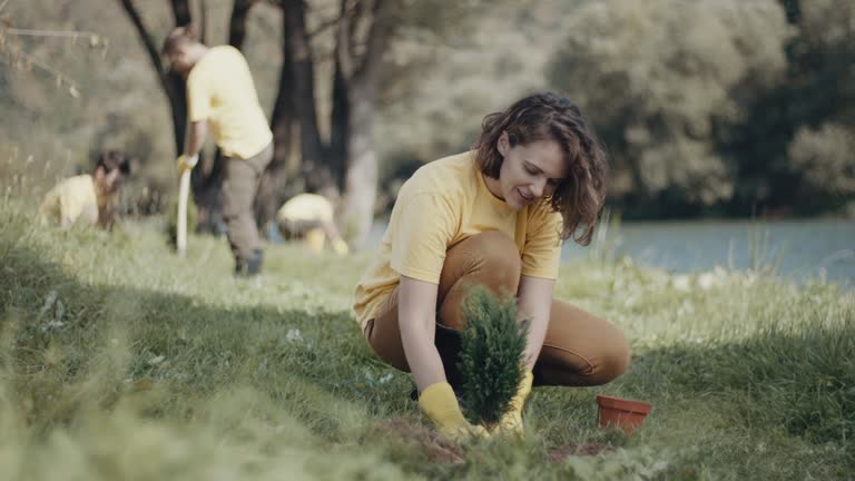 Best Lawn Drainage Solutions  in Scotland Neck, NC
